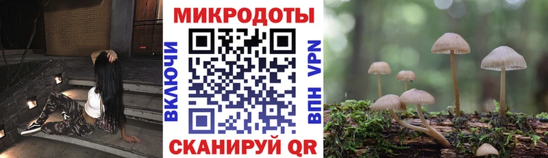 Купить закладки Тулун Псилоцибиновые грибы мицелий